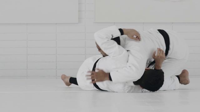 4.2 Shin Slice