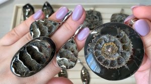 АММОНИТЫ. БЮДЖЕТНЫЕ ЦЕНЫ. НЕЙЗИЛЬБЕР . 6.04.2026 WhatsApp,  МАХ ,BIP. +79024906222