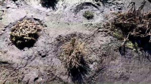 Участок шестого апреля