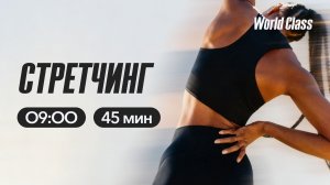 СТРЕТЧИНГ с Анастасией Филипьевой | 6 апреля 2026 | Онлайн-тренировки World Class