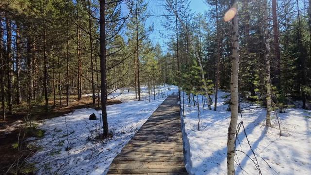 Экскурсионная тропа Пойма Керженца