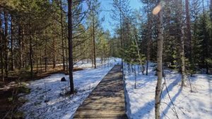 Экскурсионная тропа Пойма Керженца