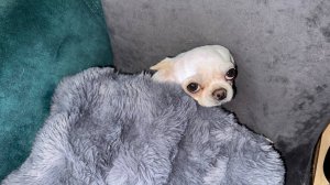 Доброго всем вечера и самой спокойной ночи.