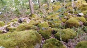 Поездка на турбазу в Приозерск