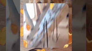 1000055179.mp4 (Собака наблюдает за устройством лестницы на 2-ой этаж в доме А-фрейм)