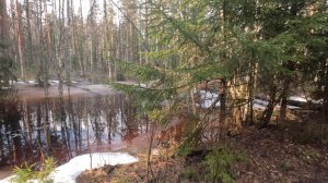 Нагонка#2 (06.04.2026)