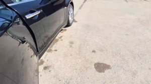 710443852_456239023.mp4