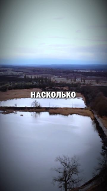 Вы и представить не можете, насколько расширится ваш диапазон позитивных эмоций