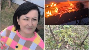 ОБЗОР УЧАСТКА. Где снег? 04.04.2026г.