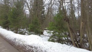 Забрал велосипед из ремонта, сразу протестировал.