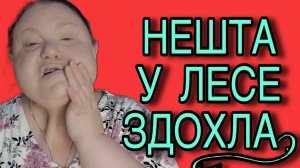 НЕШТА У ЛЕСЕ СДОХЛА! ДЕВУШКА С УРАЛА. ОБЗОР.