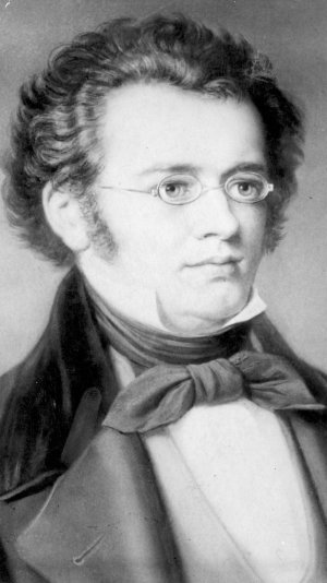 Ф.Шуберт Вечерняя серенада. F. Schubert Evening Serenade...