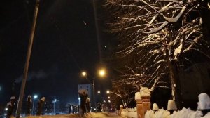 Дылгина Дарья "Снег". Зинаида Гиппиус