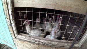 Влог от 04.07.2022