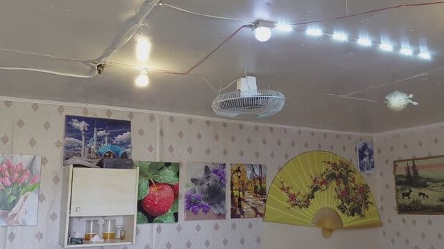 Привезли картины и веер Японский.Идёт посадка цветовзелени.Варим креветки.