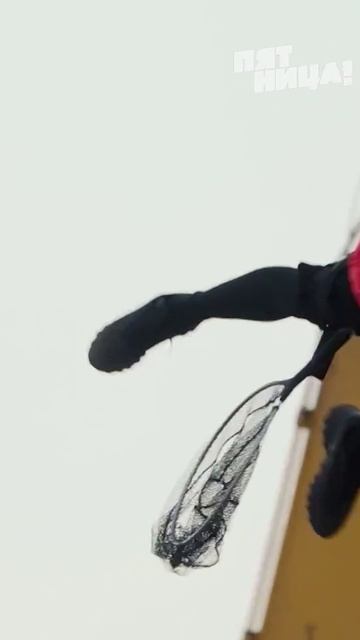 Испытание "Экскаваторная карусель" 3 #выживалити