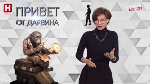 Радиоактивная история | ПРИВЕТ ОТ ДАРВИНА