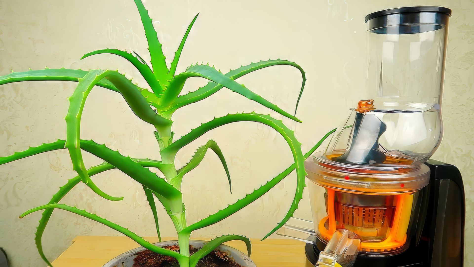 Бедная соковыжималка! Сок из Алоэ похож на Лизуна Грустный Богомол! Alex Boyko