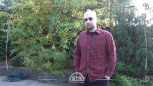 _Мои прапра_. История вторая 110305454