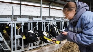 Дорого и не эффективно: российские фермеры просят отменить систему маркировок