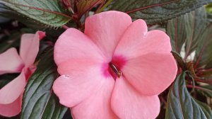 Болталочка по понедельникам.