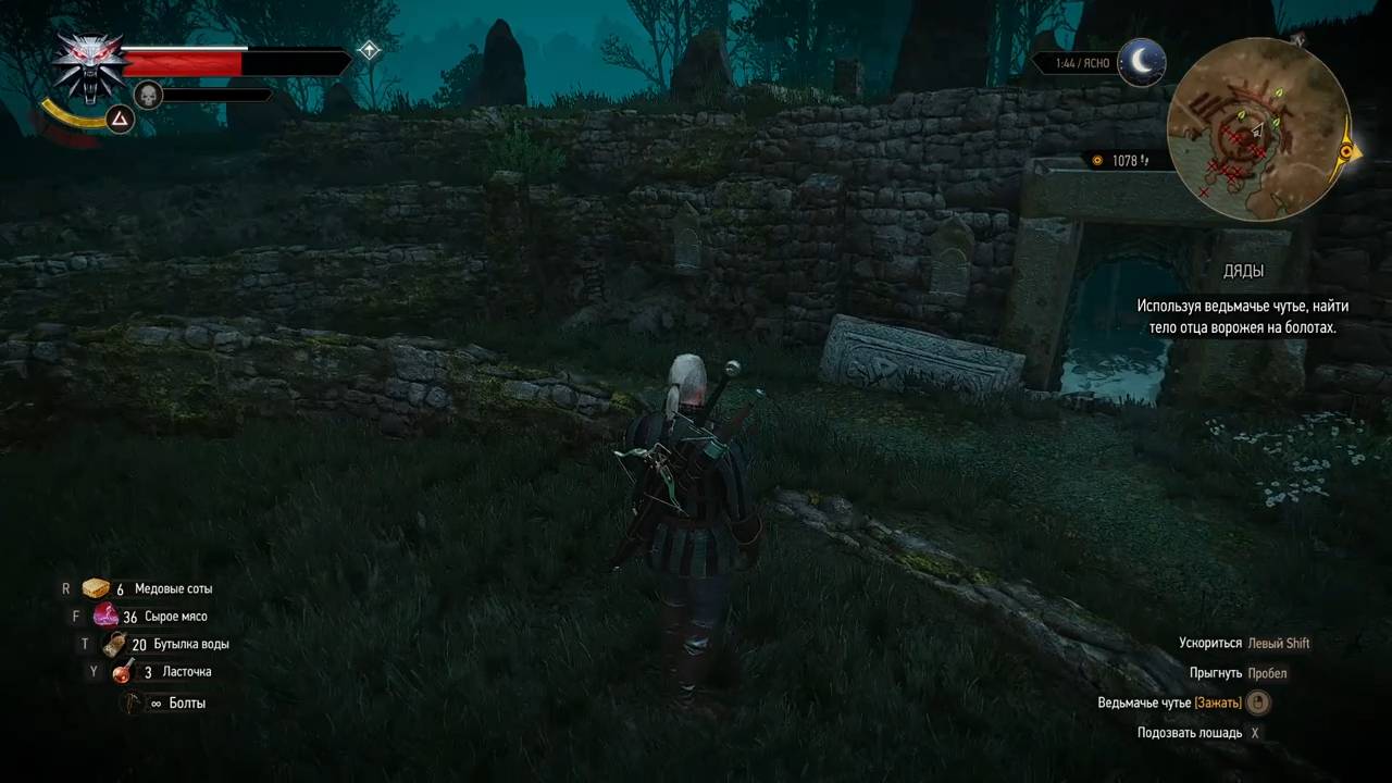 The Witcher 3 Wild Hunt #16.