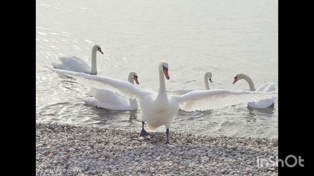 ДАВАЙТЕ ПРОСТО НАСЛАДИМСЯ ВЕСНОЙ...ЕВПАТОРИЯ 05.04.2026