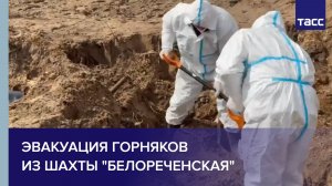 Из стихийного захоронения под Северодонецком извлекли еще 12 тел мирных жителей