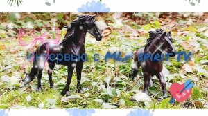 интервью с блогером MLP спирит ТВ//лошади шляйх// Karmen studio//рубрика интервью//