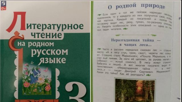 Неразгаданная тайна леса