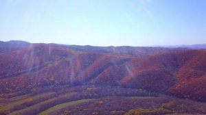 Уборка, Чугуевский район, день