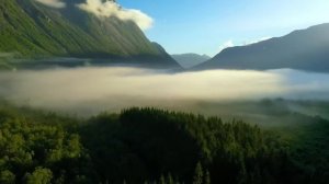 Пальто ЗАСТРЯЛО в Дверях ПОЕЗДА Я Умер Но Вернулся Чтобы ТВОРИТЬ