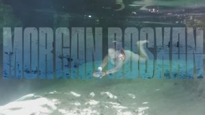 🅰🆅🅸🅲🅸🅸 🆇 🅳🅰🆅🅸🅳 🅶🆄🅴🆃🆃🅰 🌟  🅼🅾🆁🅶🅰🅽 🆁 🅾 🆂 🆇 🅰 🅽 🆃🆁🅸🅱🆄🆃🅴 🅼🅸🆇