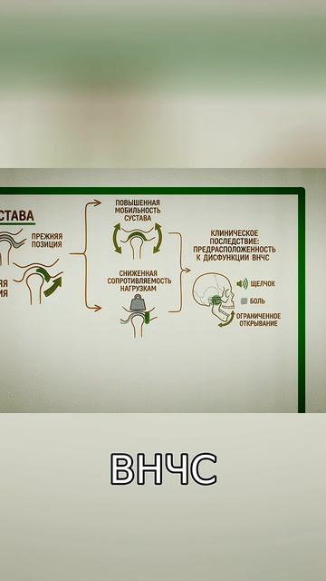 Секрет ВНЧС:  Как прямохождение меняет ваше лицо и зубы!
