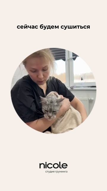 для записи звоните +7 911 081 4252🐾