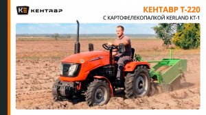 Мини-трактор Кентавр Т-220 с картофелекопалкой Kerland КТ-1