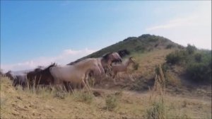 Глубокая разведка