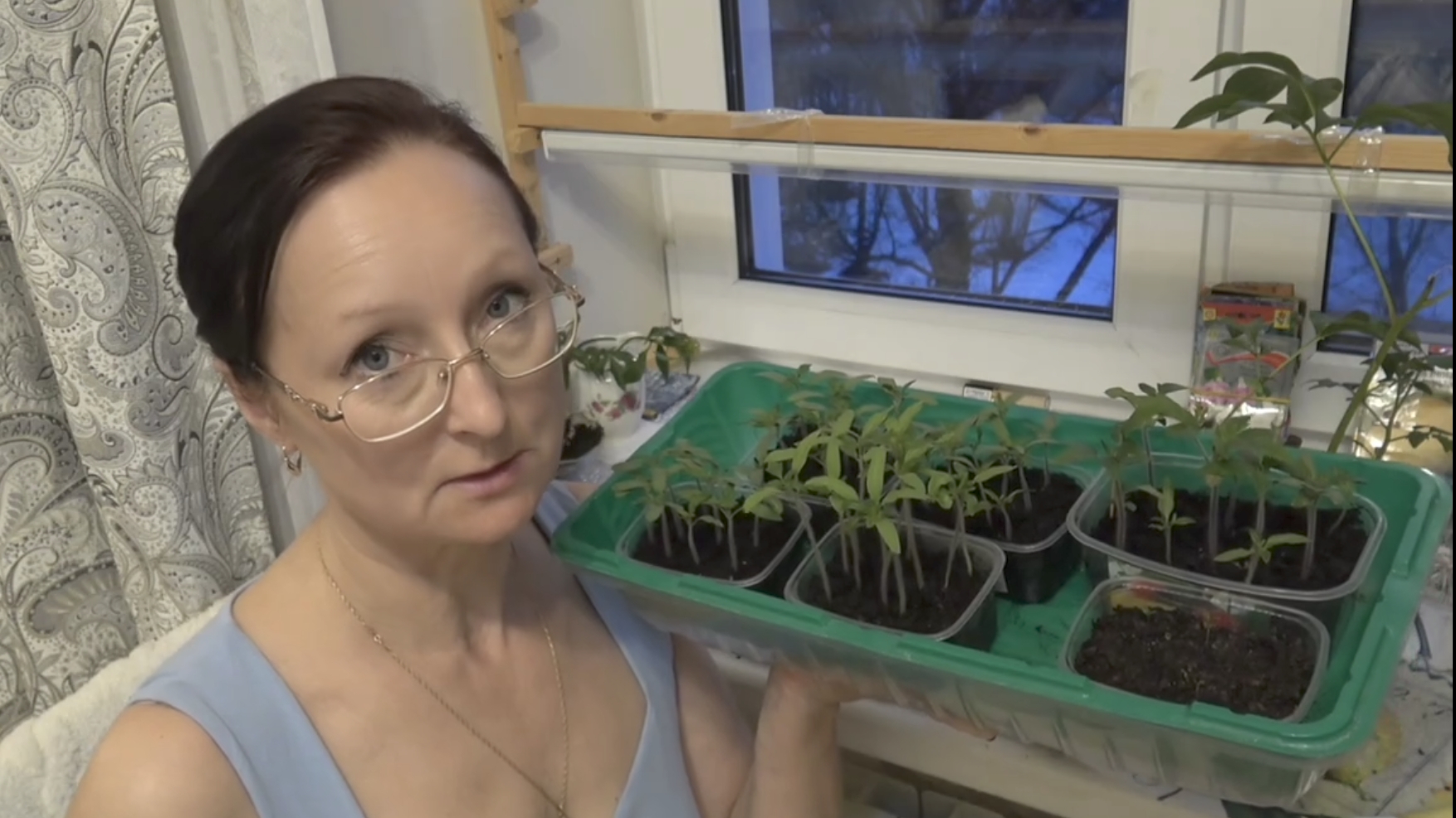 Конец марта 2026 г. Сею табак, ранние томаты, Вьюн Азарина. Купила телевизор))
