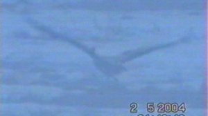 Охотнадзор 2003 - 2004.