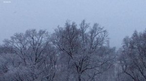 Снег❄️Снег❄️Снег❄️7.04.2026.mp4