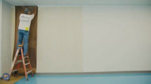 Декоративная отделка стеновыми панелями из шпона