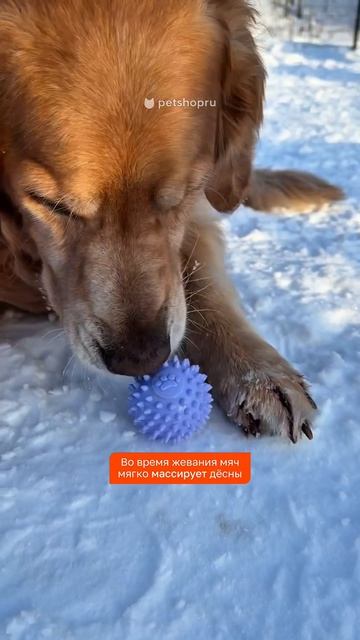 Обзор: PETSHOP Игрушка для собак и кошек мяч с шипами "Вольт" (арт. 68581)