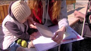 Почти 26 тысяч загранпаспортов оформили жители Тюменской области в этом году