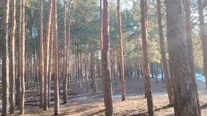 Все будет хорошо... или не очень. На ненормальной работе