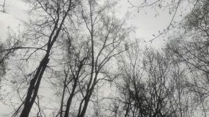 7 апреля магический пасмурный прогноз погоды ждите солнце 🌞 чуть позже  от волшебника....