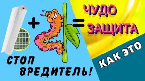 СУПЕР ИДЕЯ ! Защитная сетка. Идеальное решение как избавиться от вредителей / Как это / Дачный СПАС