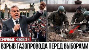 ОРБАН НАЗВАЛ ВИНОВНЫХ— ЕС в ПАНИКЕ