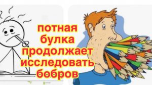 7/4 26  ДЕВОЧКА ИЗ СКАЗКИ «ТРИ МЕДВЕДЯ», ШАРИКИ ОТ ПИН -  ПОНГА И НЕПОСЛУШНЫЙ КАРАНДАШ БУЛОЧКИ.