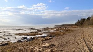 04-05.04.26. На даче. Электровелосипед. Квасом запаслись.