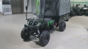 Эл. грузовой квадроцикл Фермер ЕМ-03  обзор